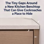 The Tiny Gaps Around a New Kitchen Benchtop That Can Give Cockroaches a Place to Hide