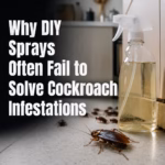 Why DIY Sprays Often Fail to Solve Cockroach Infestations