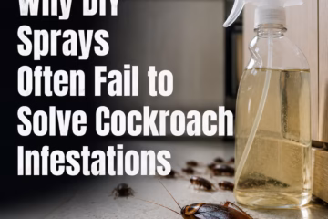 Why DIY Sprays Often Fail to Solve Cockroach Infestations