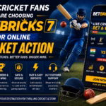 Why Cricket Fans Are Choosing BetBricks7 for Online Cricket Action