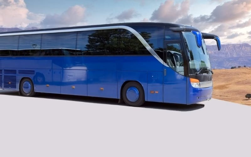 Charter Buses Are Ideal for School Trips